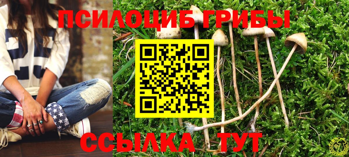 Рославль  Галлюциногенные грибы прущие грибы  Вход с VPN 