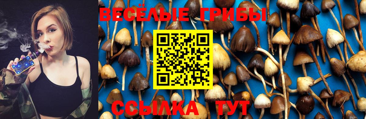 Галлюциногенные грибы Cubensis Рославль